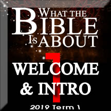 What the Bible is about