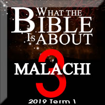 What the Bible is about