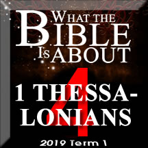 What the Bible really says