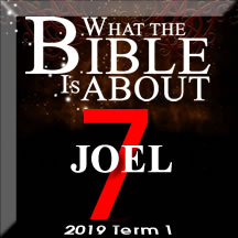 What the Bible is about