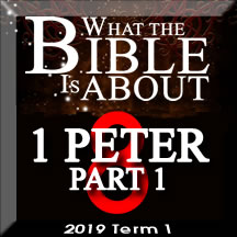 What the Bible is about