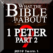 What the Bible is about