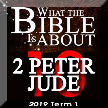 What the Bible is about