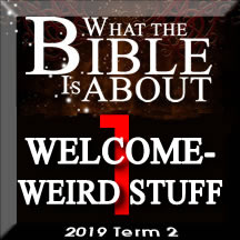 What the Bible is about