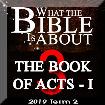 What the Bible is about