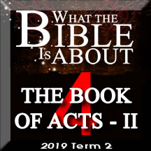 What the Bible really says