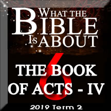 What the Bible is about