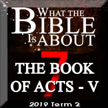 What the Bible is about