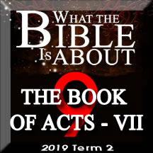 What the Bible is about