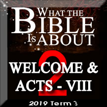 What the Bible is about