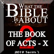 What the Bible is about