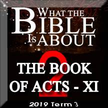 What the Bible really says