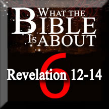 What the Bible is About