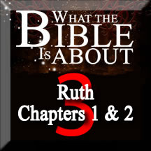 What the Bible is About