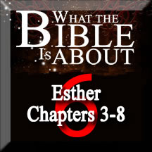 The Amazing Bible