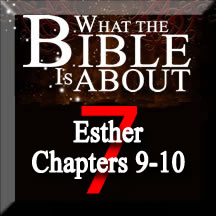 The Amazing Bible