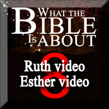 The Amazing Bible