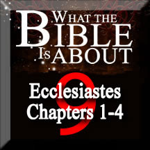 The Amazing Bible