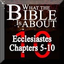 The Amazing Bible