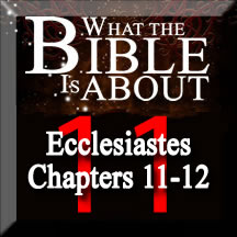 The Amazing Bible